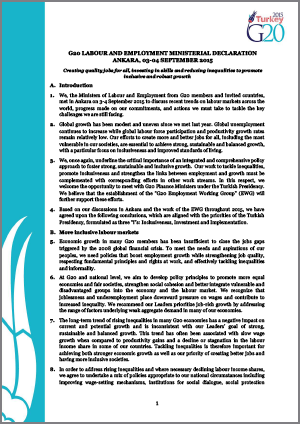 https://g20ewgportal.org/images/common/Declaration_-_G20_Labour_and_Employment_Ministers_04092015-1.png