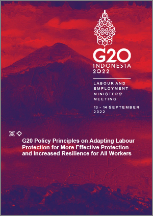 https://g20ewgportal.org/images/common/G20_Policy_Principles_on_Adapting_Labour_Protection_for_More_Effective_Protection_and_Increased_Resilience_for_All_Workers_14092022-1.png