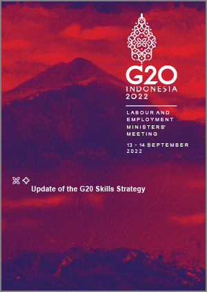 https://g20ewgportal.org/images/common/Update_of_the_G20_Skills_Strategy_14092022-1.png